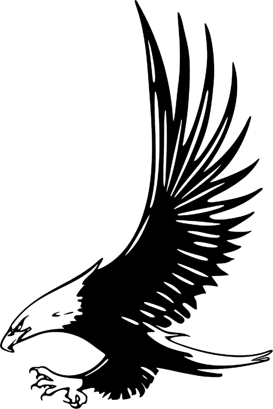 juste_17 Eagle Graphic Flame Decal