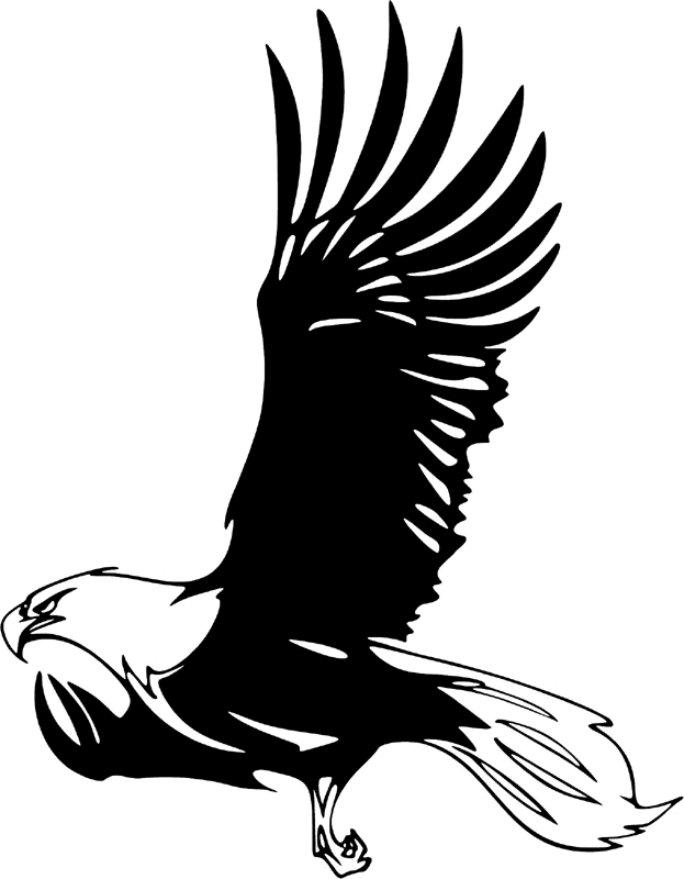 juste_19 Eagle Graphic Flame Decal