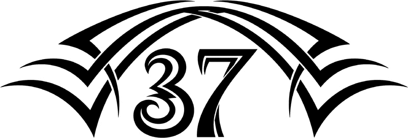 tnhood_37 Tribal Racing Numbers Graphic Flame Decal