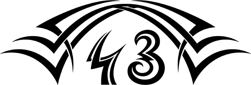 tnhood_43 Tribal Racing Numbers Graphic Flame Decal