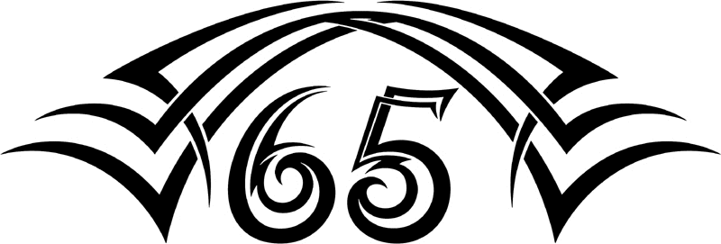 tnhood_65 Tribal Racing Numbers Graphic Flame Decal