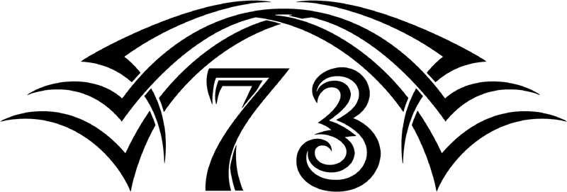 tnhood_73 Tribal Racing Numbers Graphic Flame Decal