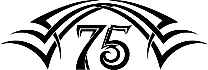 tnhood_75 Tribal Racing Numbers Graphic Flame Decal