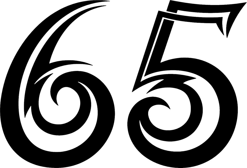 tnorigin_65 Tribal Racing Numbers Graphic Flame Decal