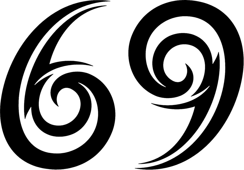 tnorigin_69 Tribal Racing Numbers Graphic Flame Decal