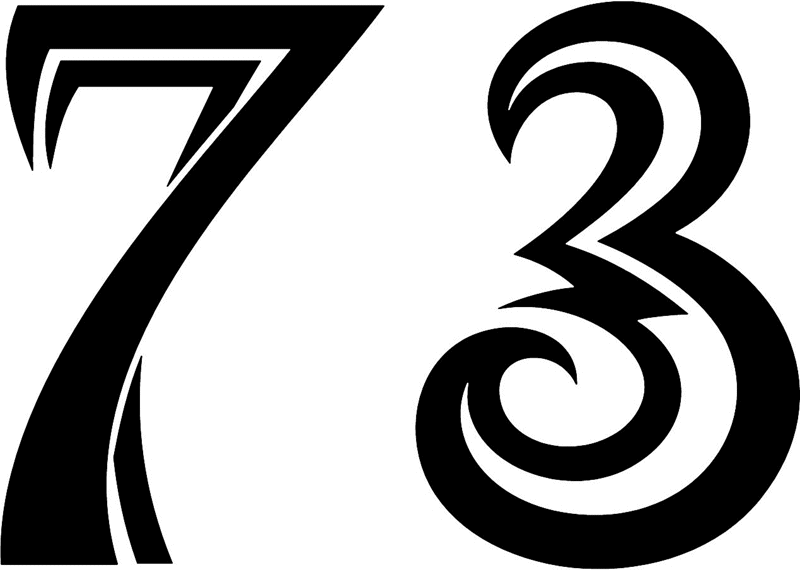 tnorigin_73 Tribal Racing Numbers Graphic Flame Decal