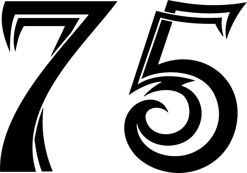 tnorigin_75 Tribal Racing Numbers Graphic Flame Decal