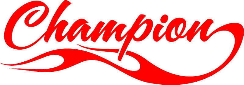 Champion in Flames verbage Graphic Flame Decal