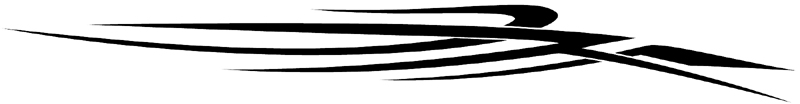 Contest II stripes graphic decal. 075