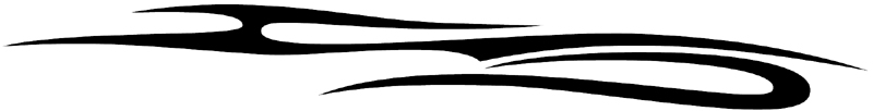 Sturgeon II stripes graphic decal. 088