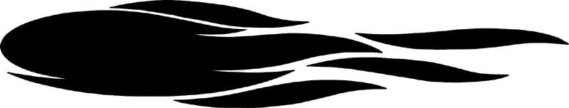 Seahawk stripe graphic design. 115
