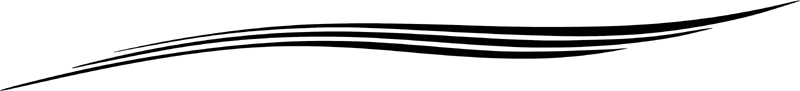 Fox II stripes graphic decal. B226