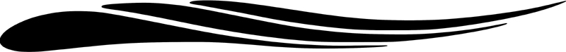 Pleasure Path stripes graphic decal. B557