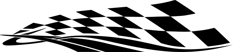 Diamondback II stripes vinyl decal. B590