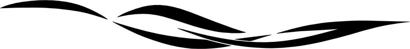 Mockingbird stripes graphic. B662