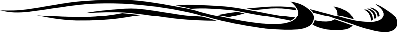 Shyster stripes graphic. B727